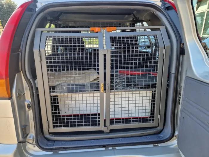 DAIHATSU TERIOS 1.3 DB c/clima -GPL- - immagine 13